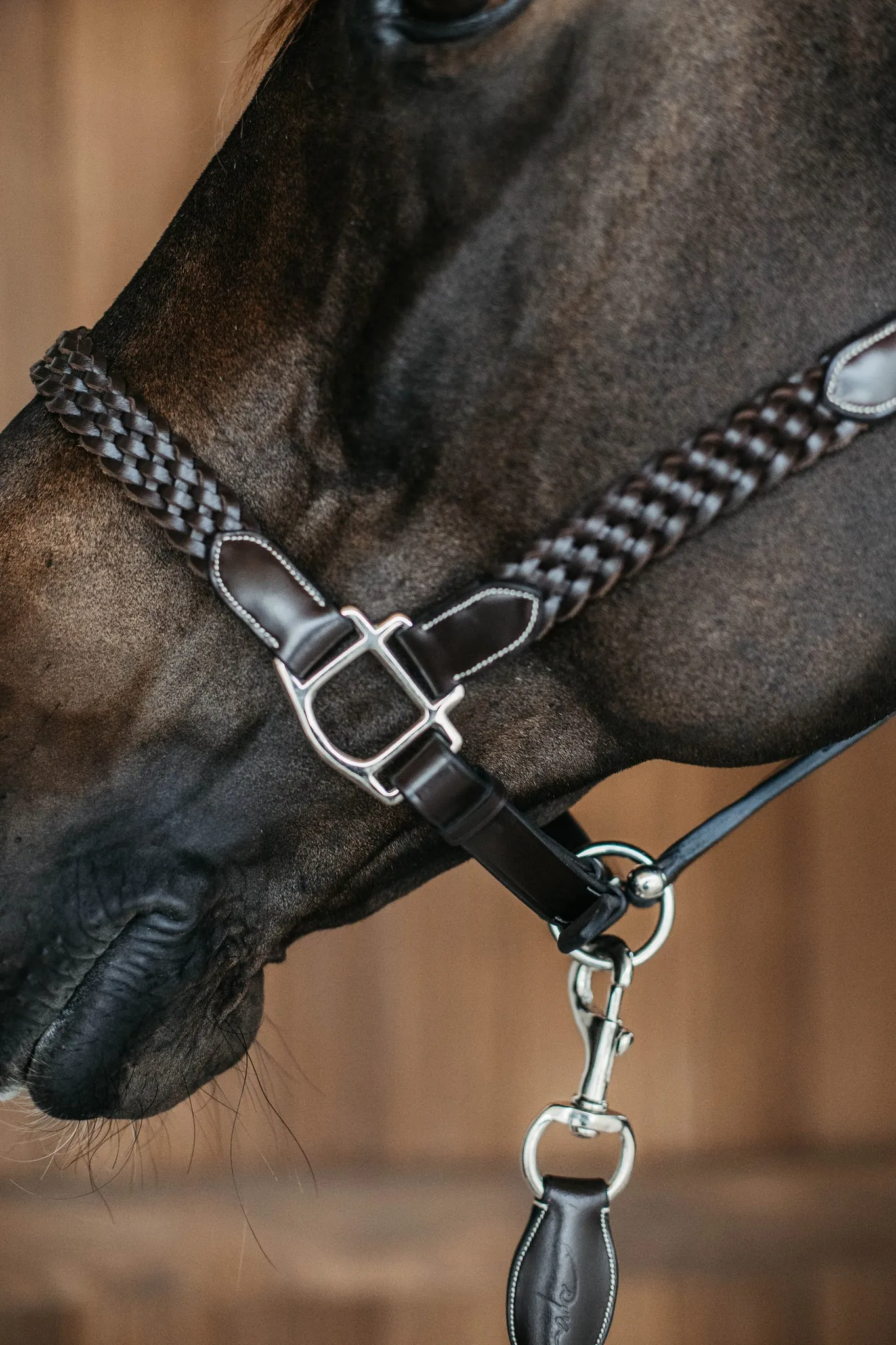 Plaited Leather Halter