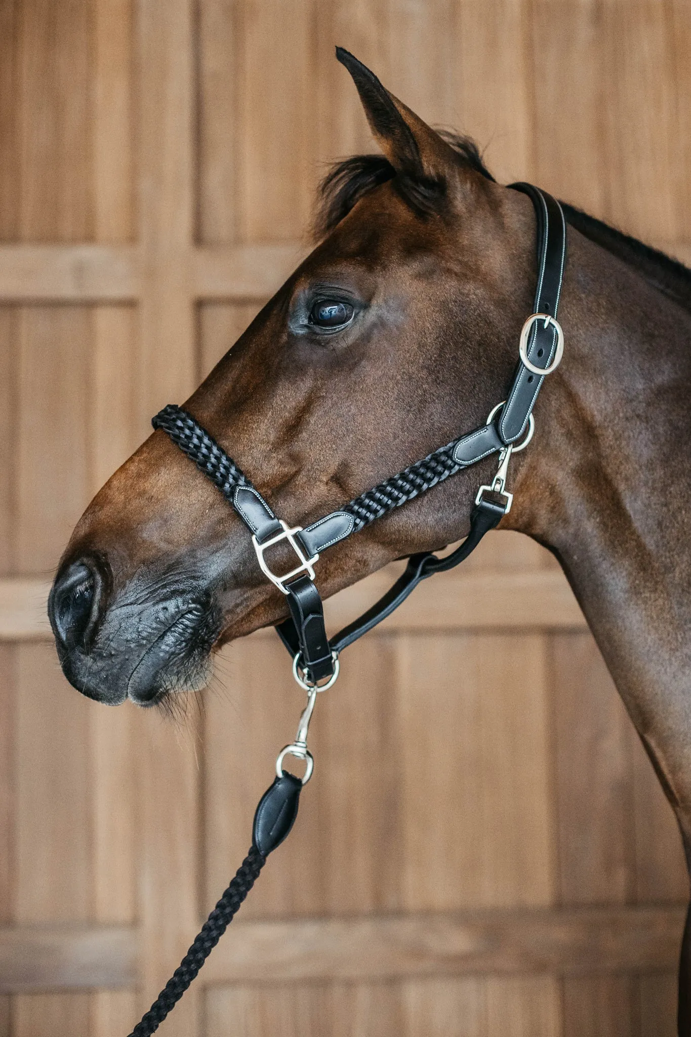 Plaited Leather Halter