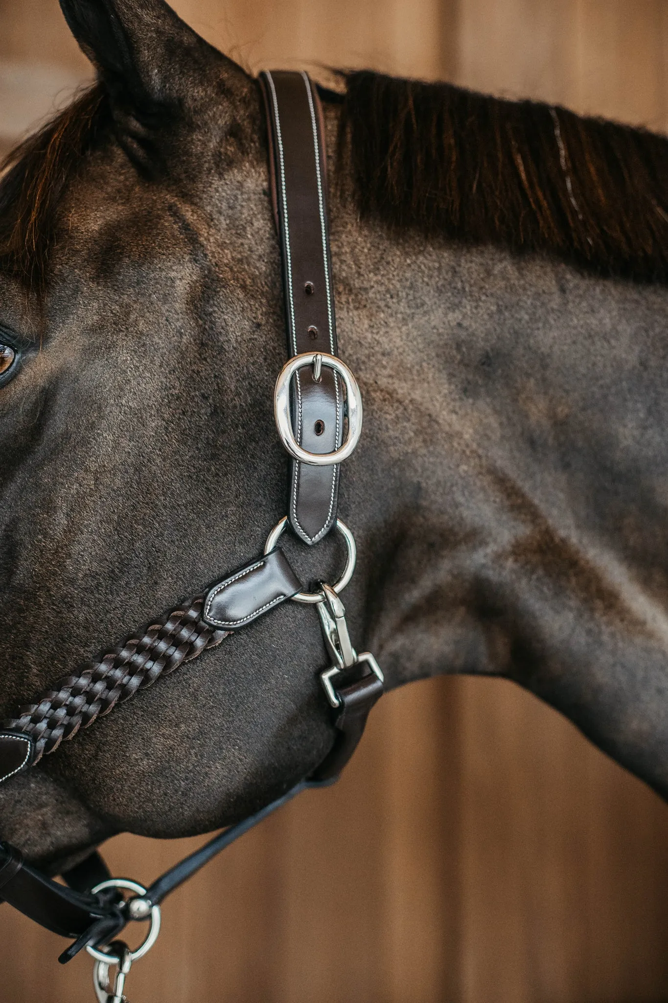 Plaited Leather Halter