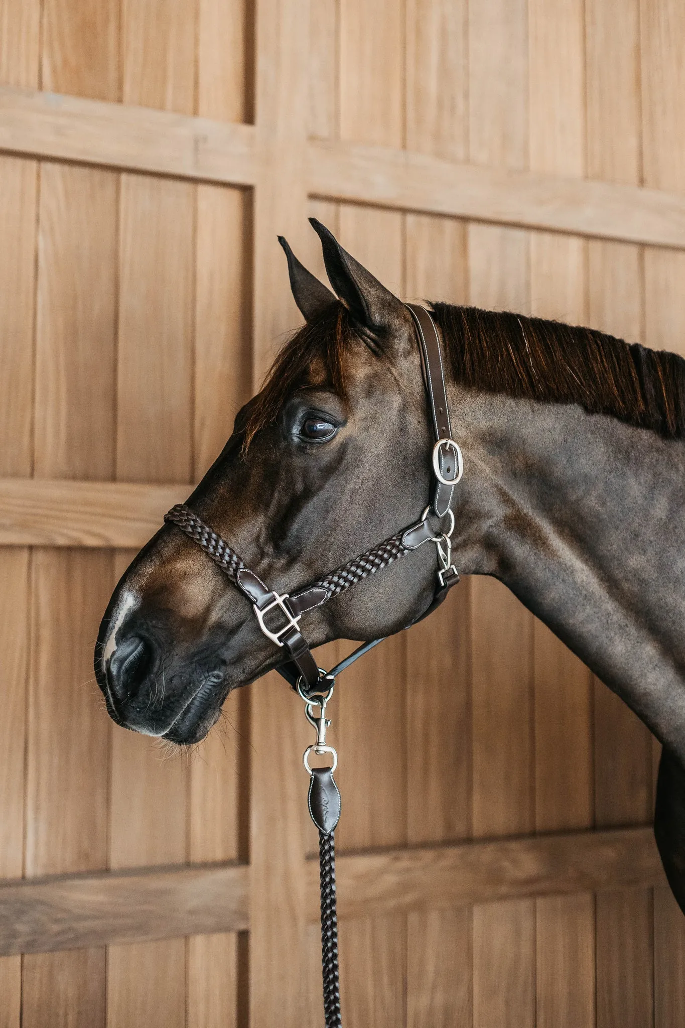 Plaited Leather Halter