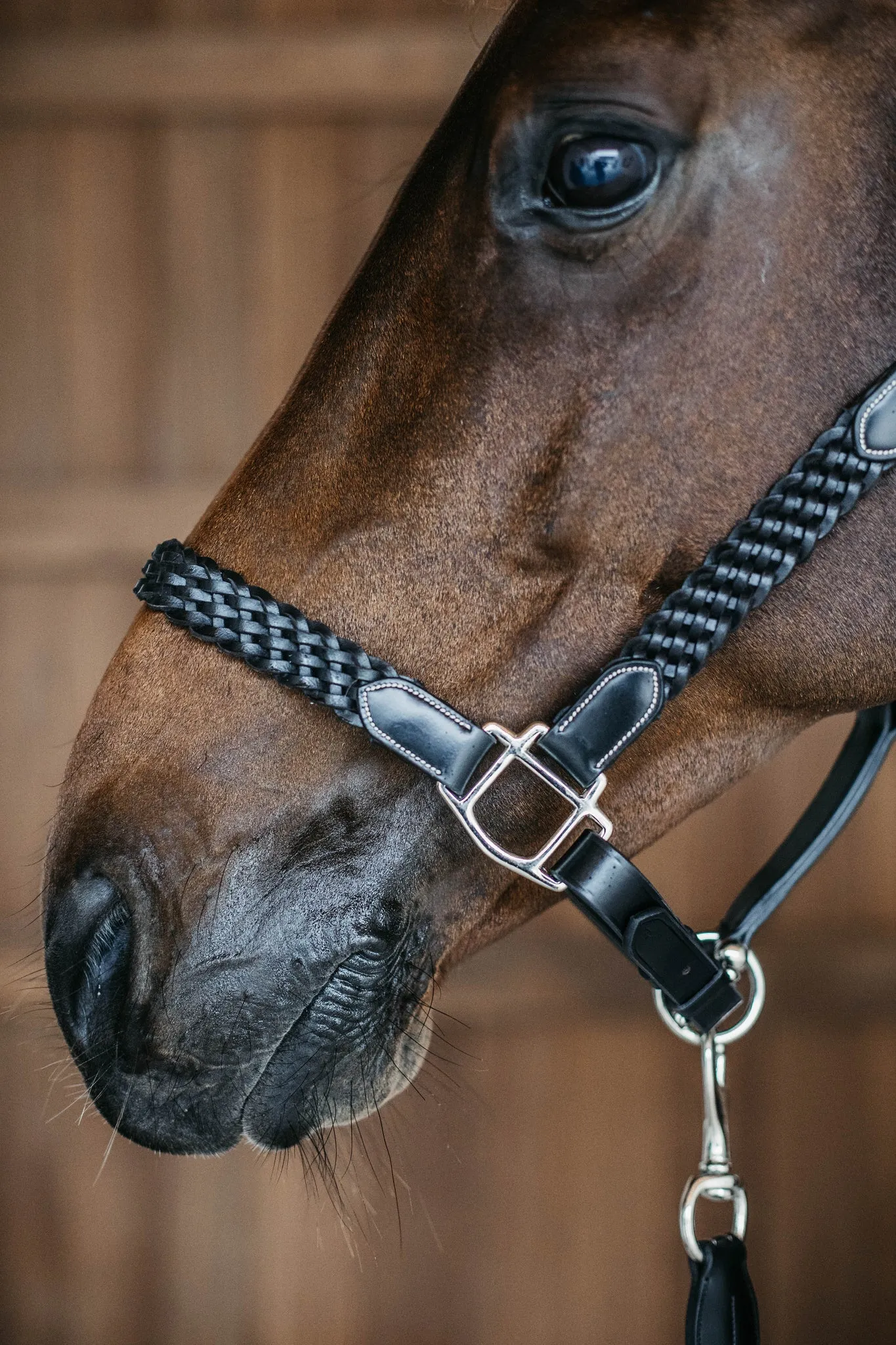 Plaited Leather Halter